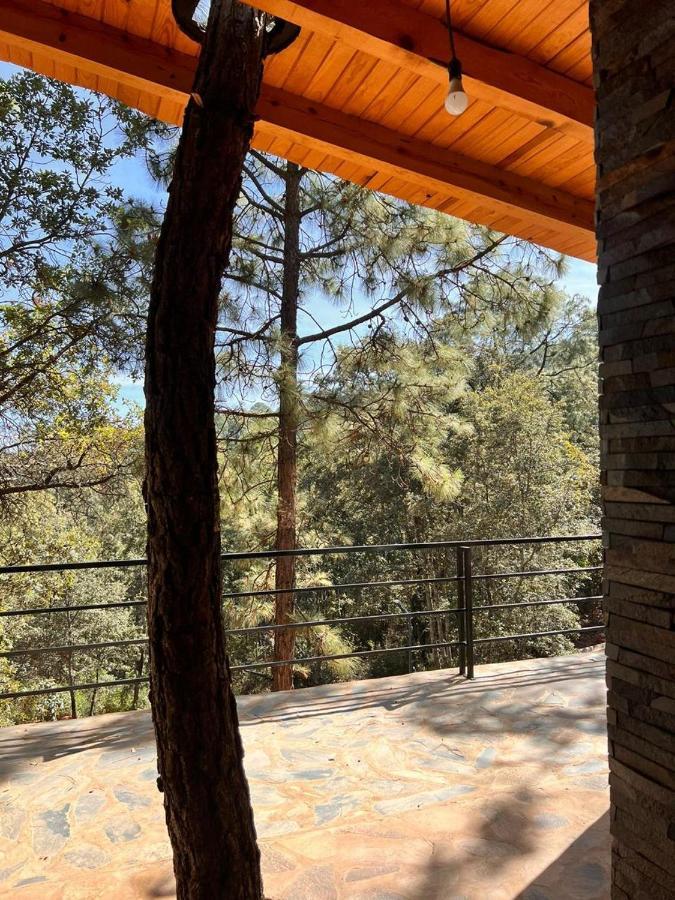 Cabana "Alexa", En El Corazon Del Bosque De Mazamitla Ngoại thất bức ảnh