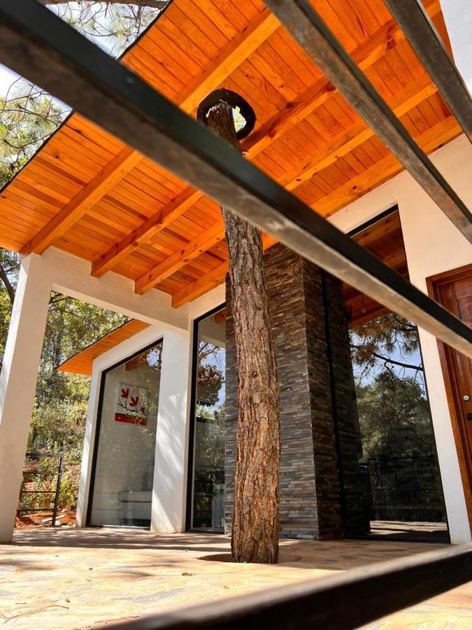 Cabana "Alexa", En El Corazon Del Bosque De Mazamitla Ngoại thất bức ảnh