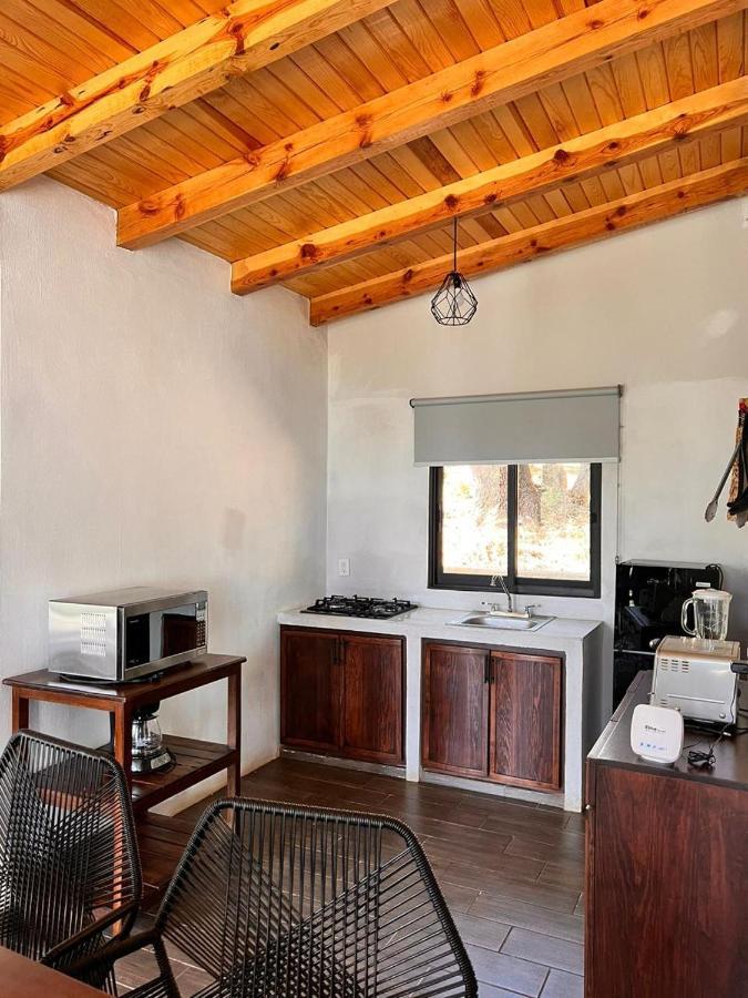 Cabana "Alexa", En El Corazon Del Bosque De Mazamitla Ngoại thất bức ảnh
